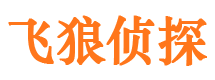 西山市私家侦探